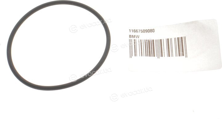 BMW / Mini 11 66 7 509 080