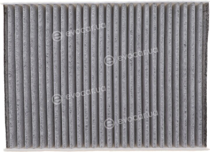 Solgy 104141