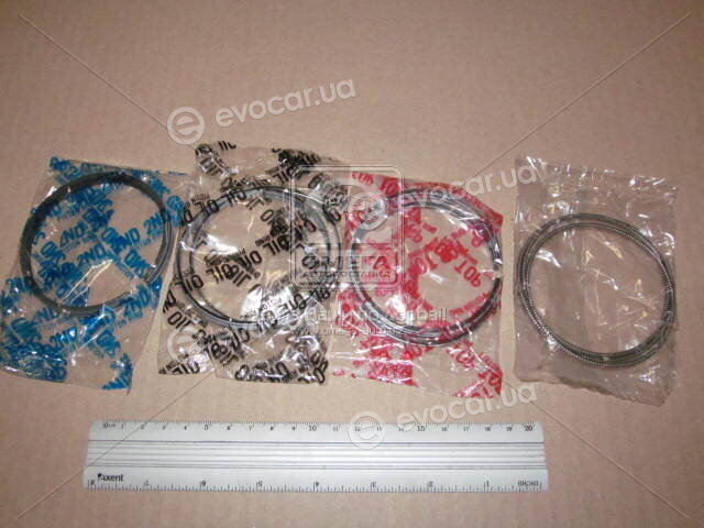 TP 31031.STD