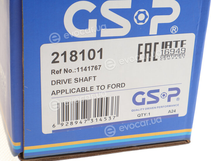 GSP 218101