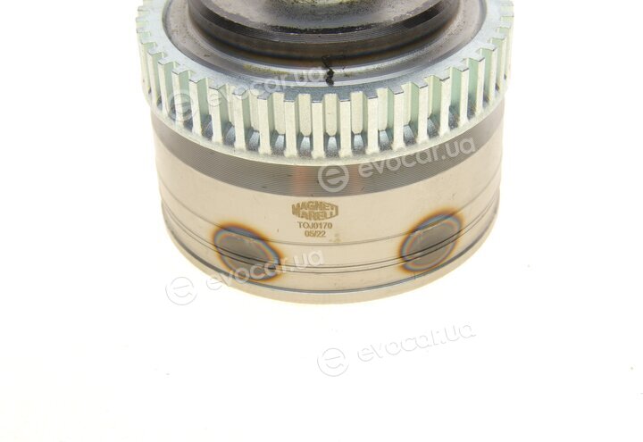Magneti Marelli 302015100170