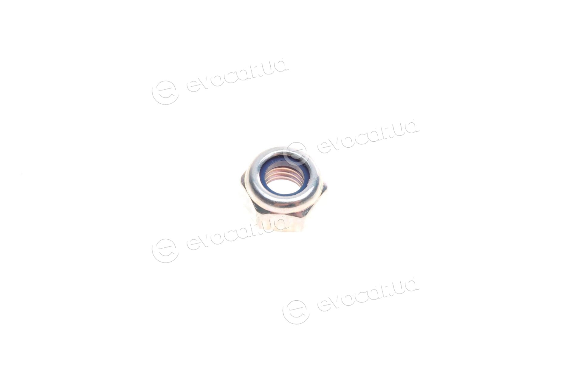 Blue Print ADT38585