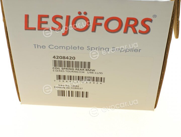 Lesjofors 4208420