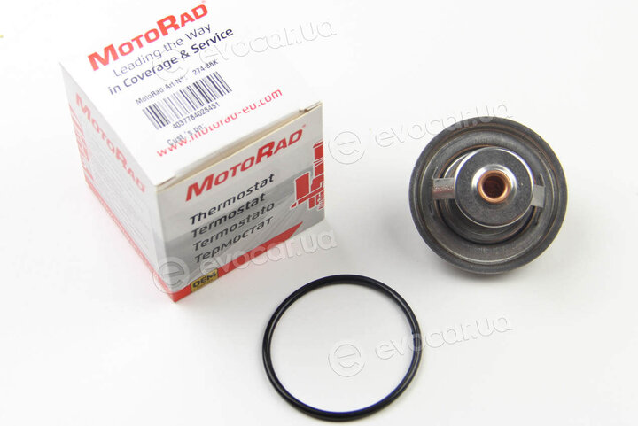 Motorad 281-82K