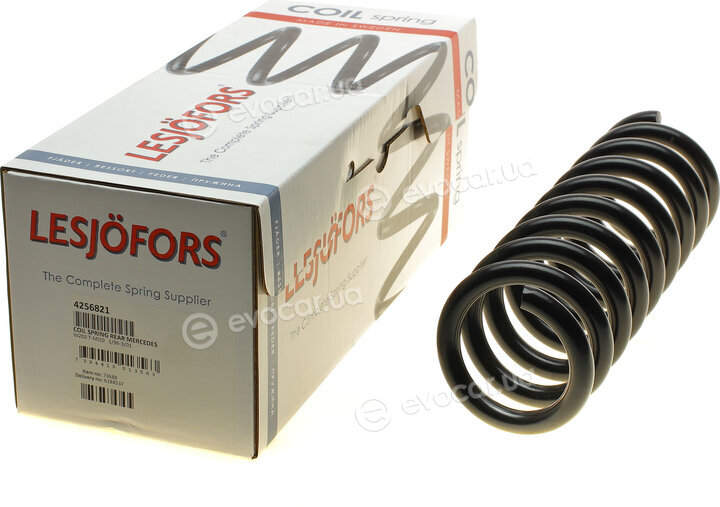 Lesjofors 4256821
