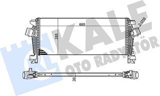 Kale 344700