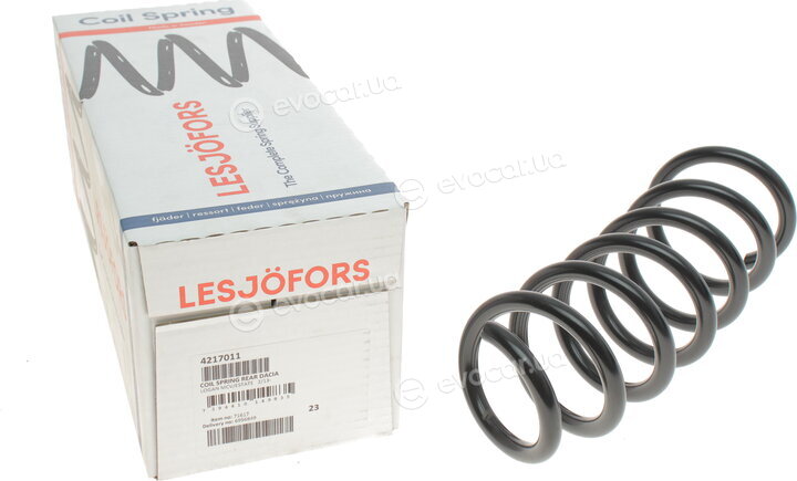 Lesjofors 4217011