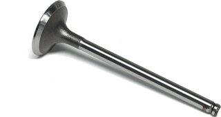 Gunes 4681