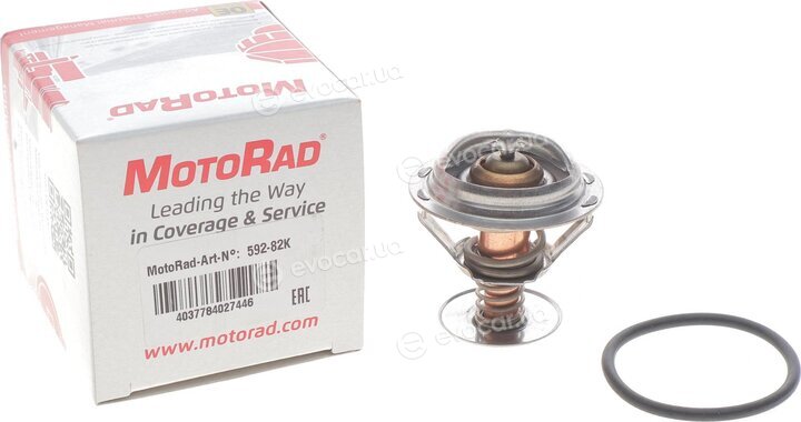 Motorad 592-82K