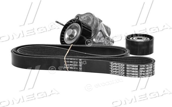 Dayco KPV619