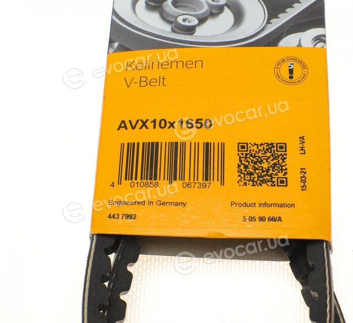 Continental AVX10x1650