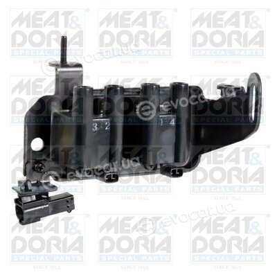 Meat & Doria 10449