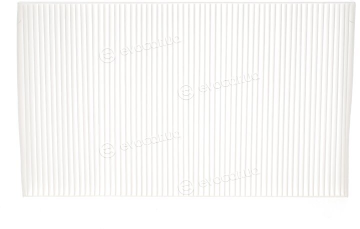 Solgy 104006