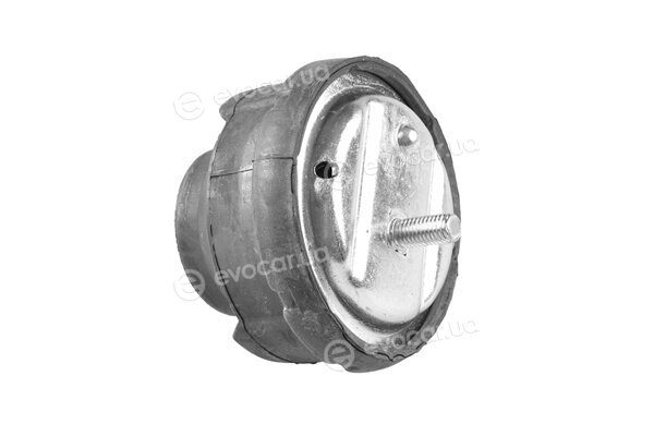 Tedgum 80630