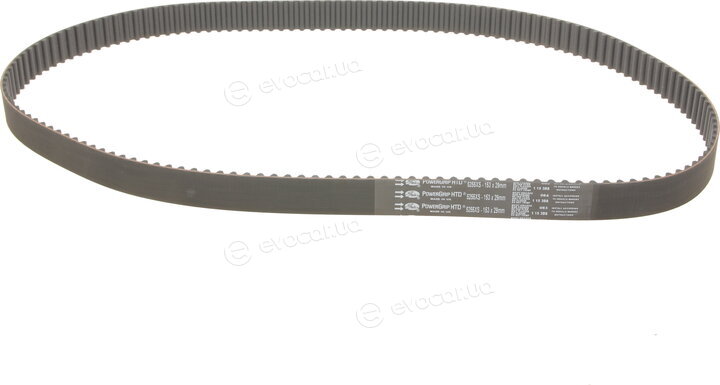 Gates K025255XS
