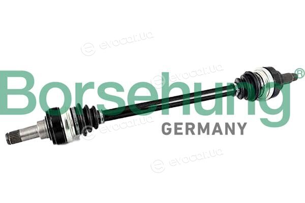 Borsehung B12488