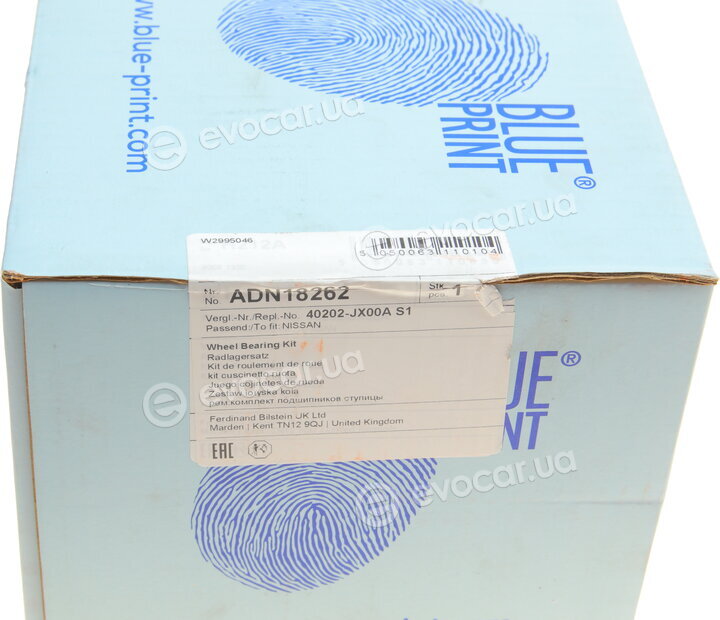 Blue Print ADN18262