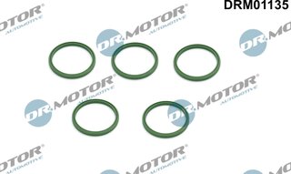 Dr. Motor DRM01135