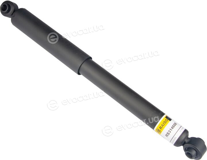 Raiso RS314608