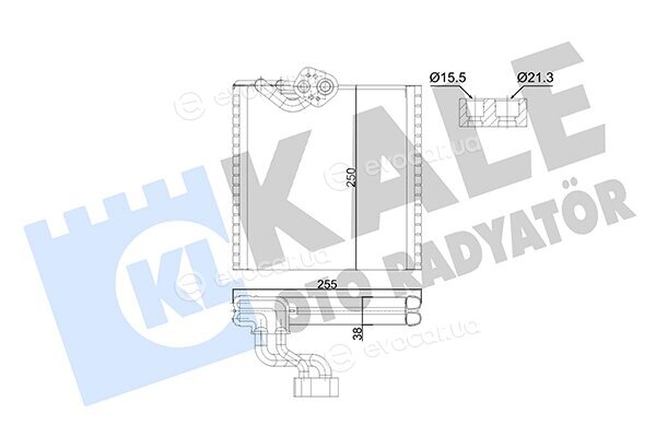 Kale 352995