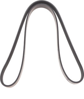 Dayco 5PK1155