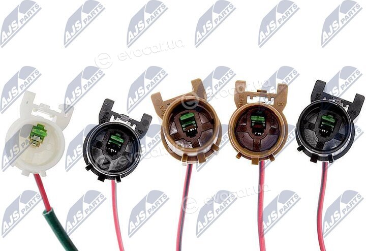 NTY EAG-MS-000