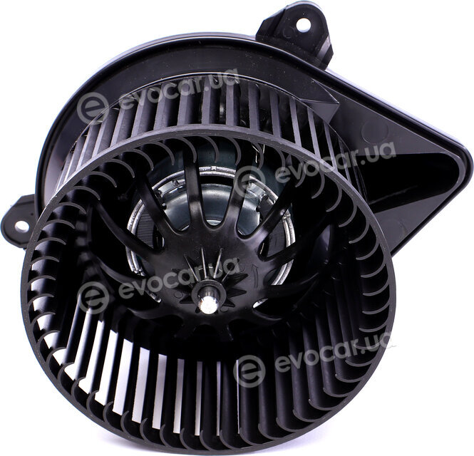 Solgy 404005