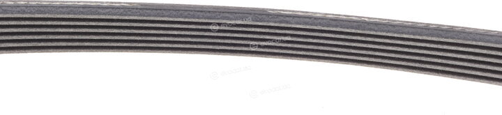 Continental 6PK989 ELAST