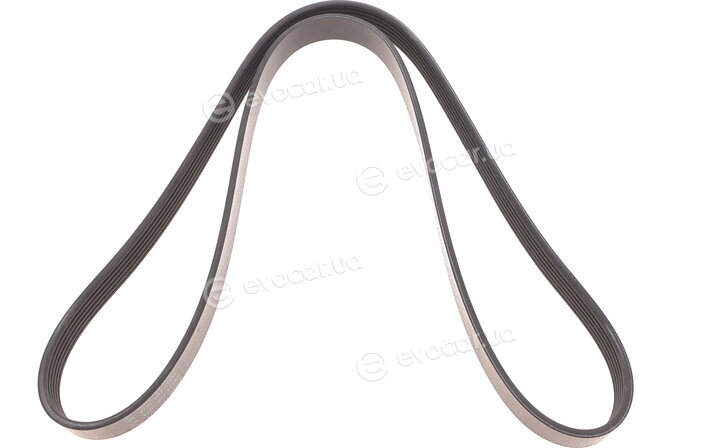 Dayco 6PK1330