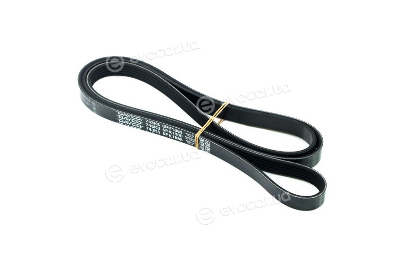 Dayco 5PK1885