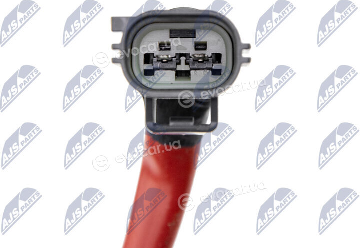 NTY BWP-FR-005