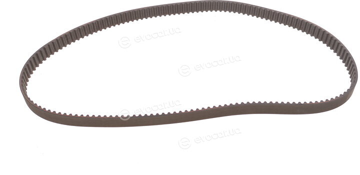 Motive TBK4988WP