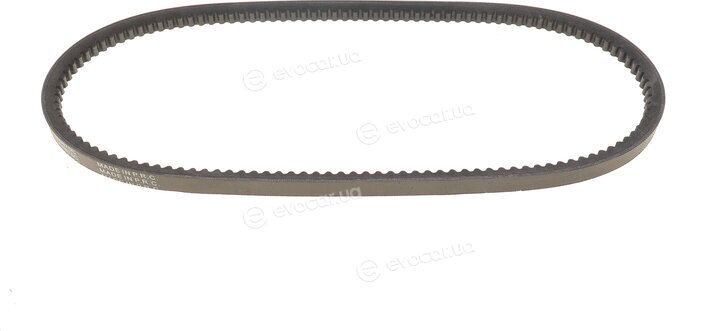 Dayco 13A0875C