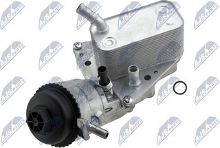 NTY CCL-PL-015