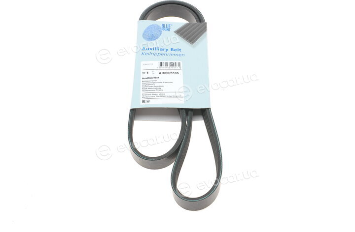 Blue Print AD05R1135