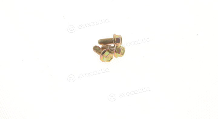 Solgy 112023