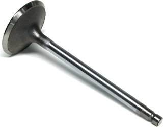Gunes 6436