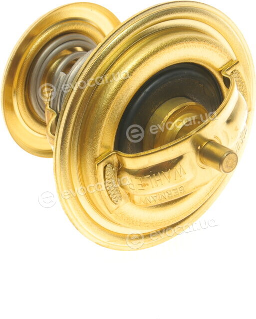 Wahler / BorgWarner 4253.87D