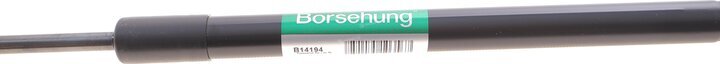 Borsehung B14194