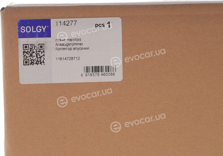 Solgy 114277