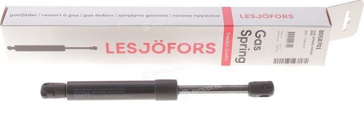 Lesjofors 8058701