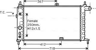 AVA OL2065