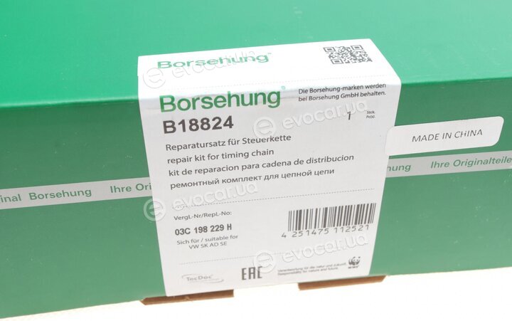 Borsehung B18824