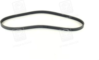 SKF VKMV 4PK815
