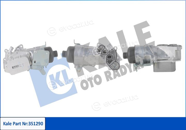 Kale 351290