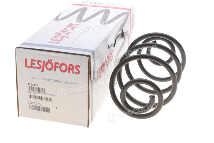 Lesjofors 4263437
