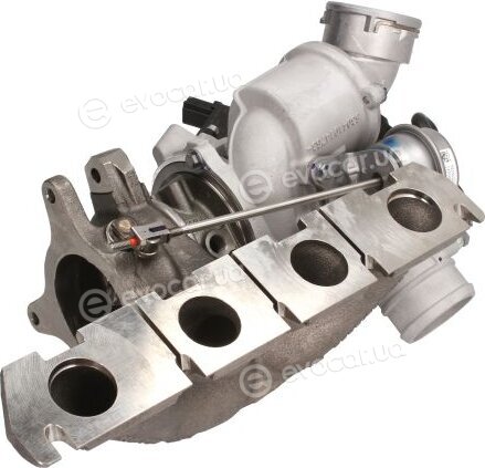 BorgWarner 53039880290