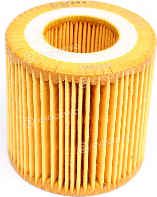 Solgy 101054