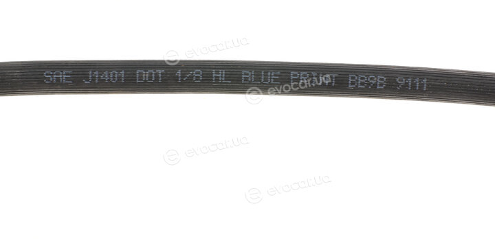 Blue Print ADG053228