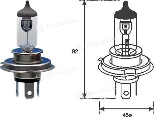 Magneti Marelli 002555100000